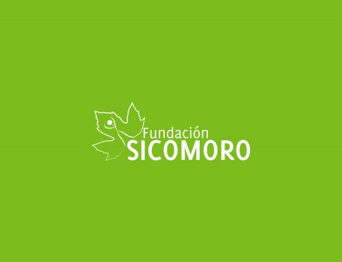 Fundación Sicomoro