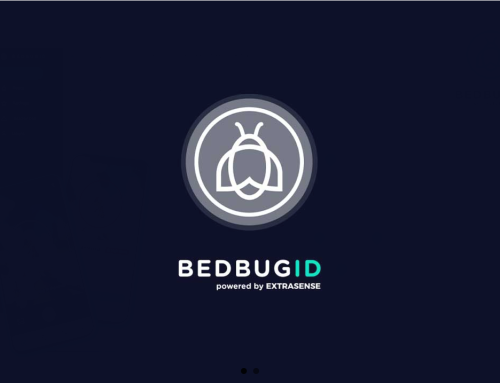 BedbugID